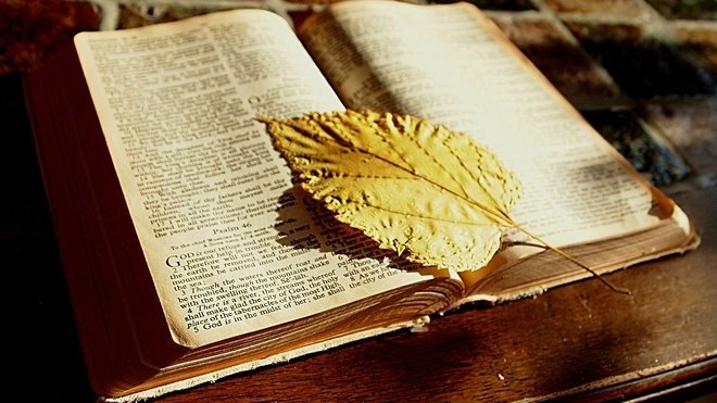 OBRÁZEK : bible-1166260_1280-1457202991-18a07d3e_660x371.jpg OBRÁZEK : bible-1166260_1280-1457202991-18a07d3e_660x371.jpg